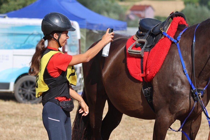 Photo 2025 06 28 09 42 40(5)