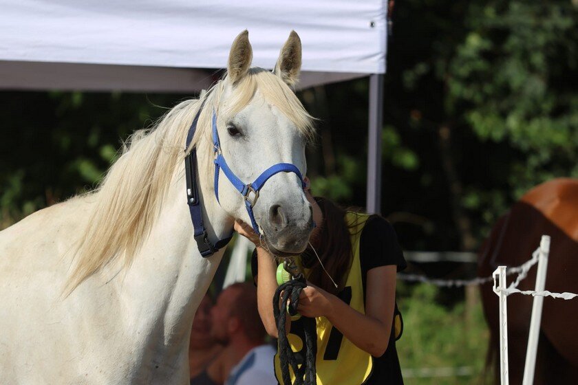 Photo 2025 06 28 09 42 40(6)