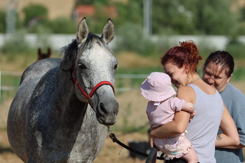 Photo 2025 06 28 09 42 41