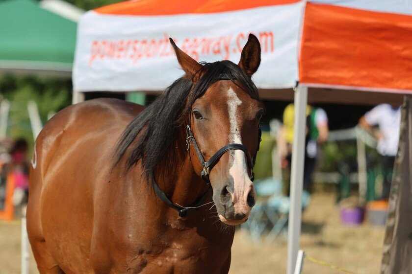 Photo 2025 06 28 09 42 41(1)