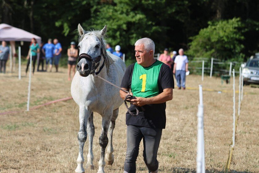 Photo 2025 06 28 09 42 41(3)