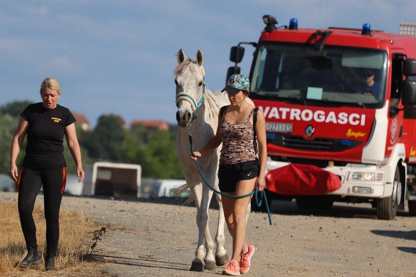 Photo 2025 06 28 09 42 42