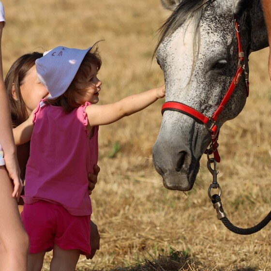 Photo 2025 06 28 09 42 42(2)