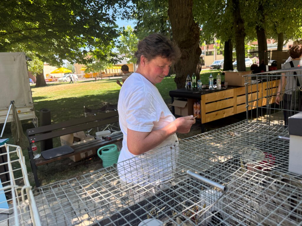 Photo 2025 06 29 12 16 22(1)