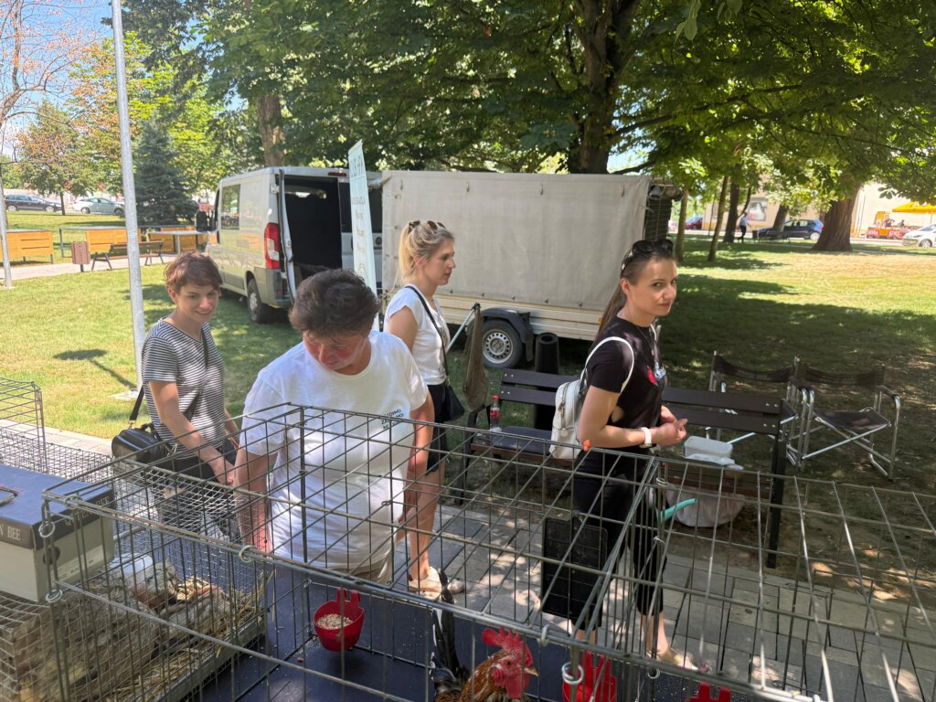 Photo 2025 06 29 12 16 23