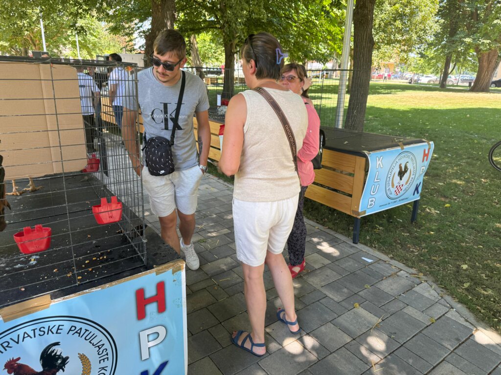 Photo 2025 06 29 12 16 23(1)