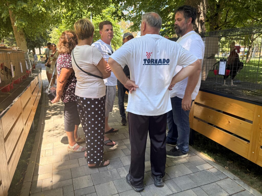 Photo 2025 06 29 12 16 29