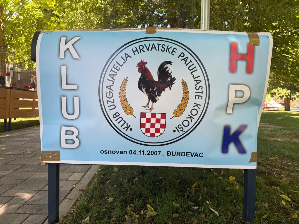 Photo 2025 06 29 12 16 30