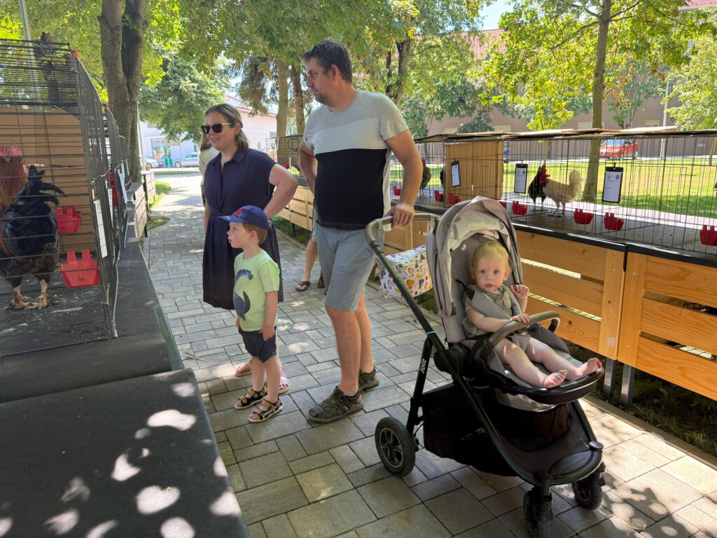 Photo 2025 06 29 12 16 31(1)