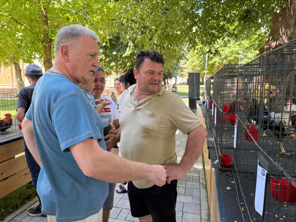 Photo 2025 06 29 12 16 32(1)