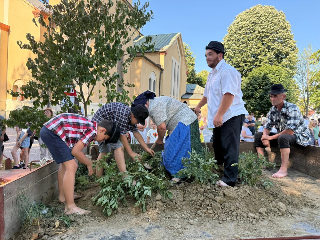 Photo 2025 06 29 18 25 35(2)