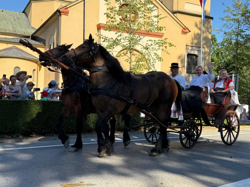 Photo 2025 06 29 18 30 34(1)