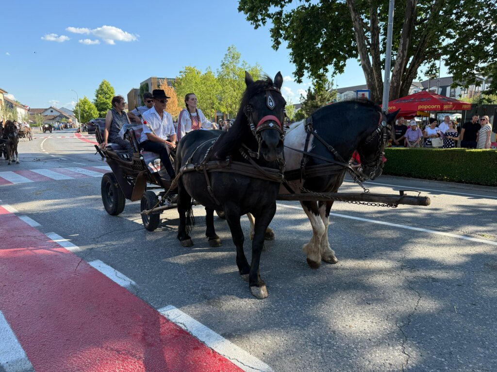 Photo 2025 06 29 18 30 36