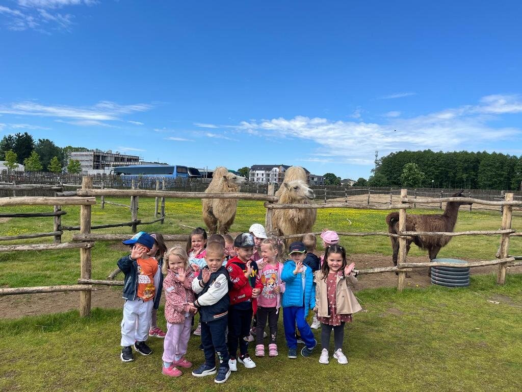 Whatsapp Image 2025 06 04 At 13.04.45 2