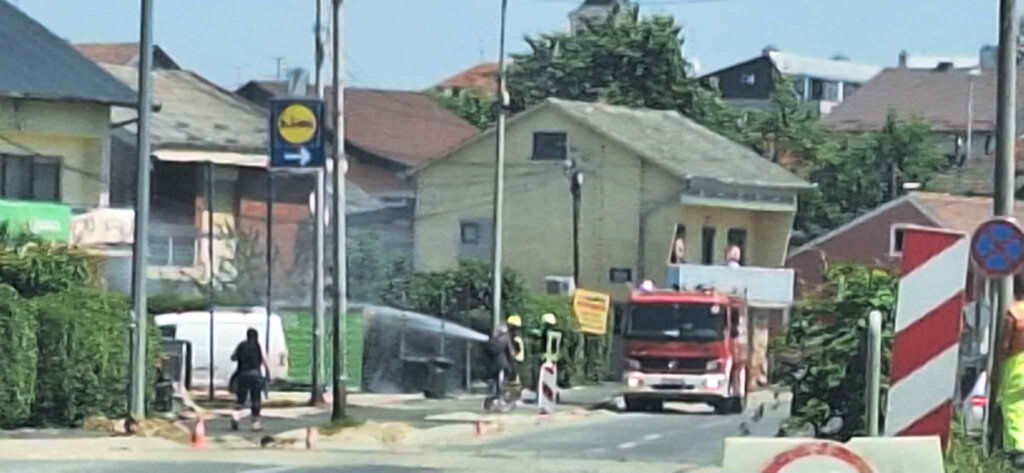 E54f4c0d Ee61 4d9a 97ef D2b572113335