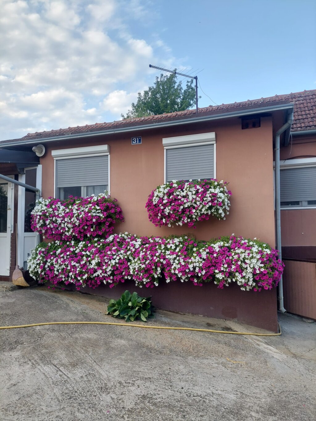 34d6c460 3ef7 426a 8076 Ee4c61ec43bb