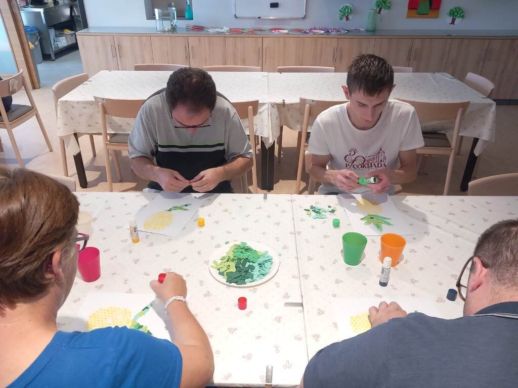 518313273 1181604984009564 8573146681907055440 N