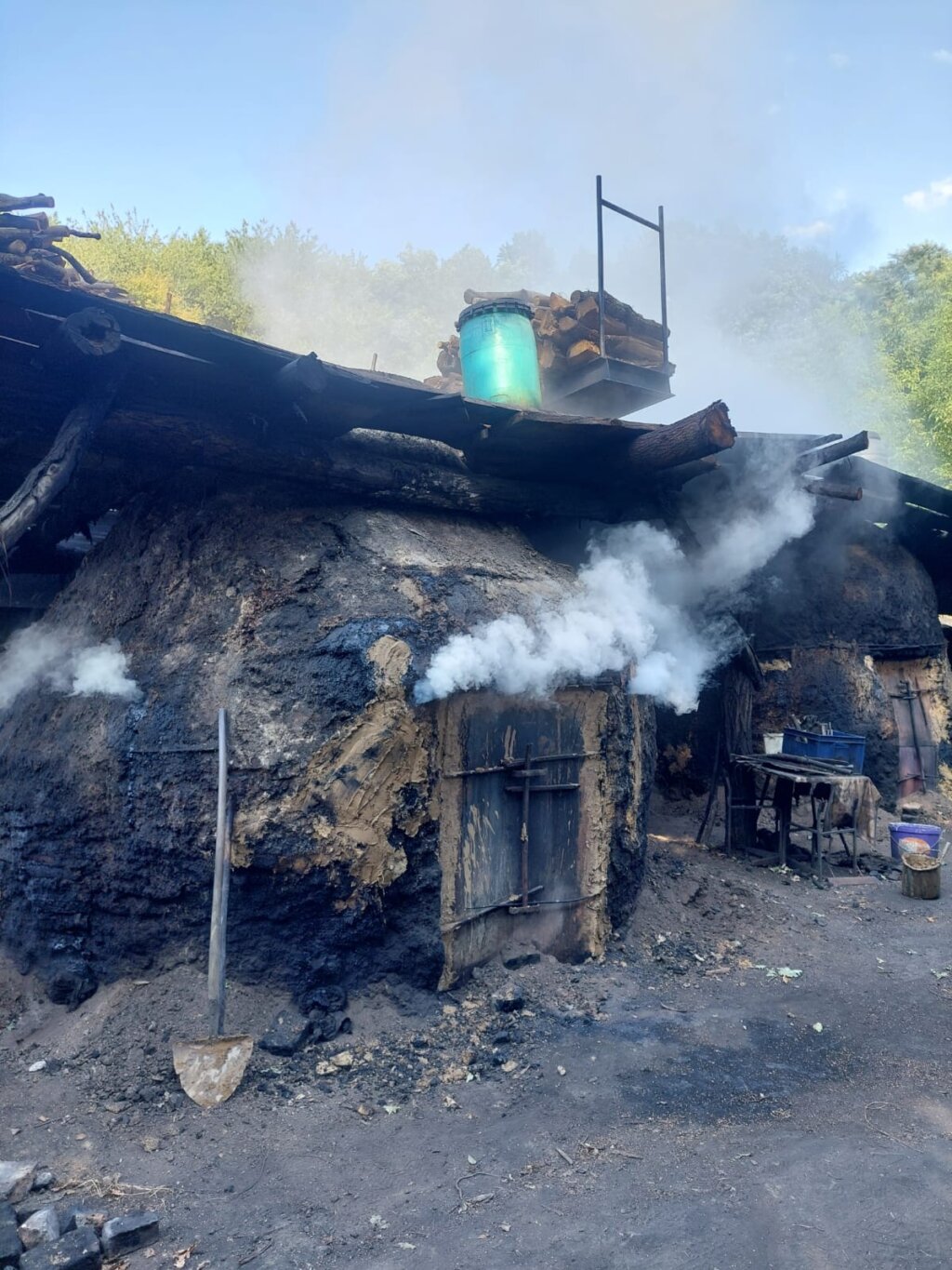 9059701c 0a6d 4a34 A7f7 F422c6523cab