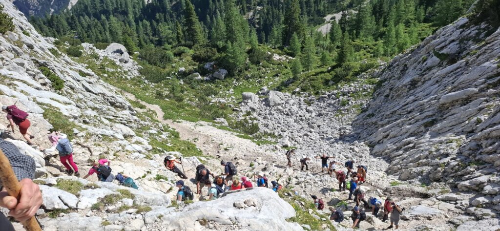 Photo 2025 07 02 17 38 21