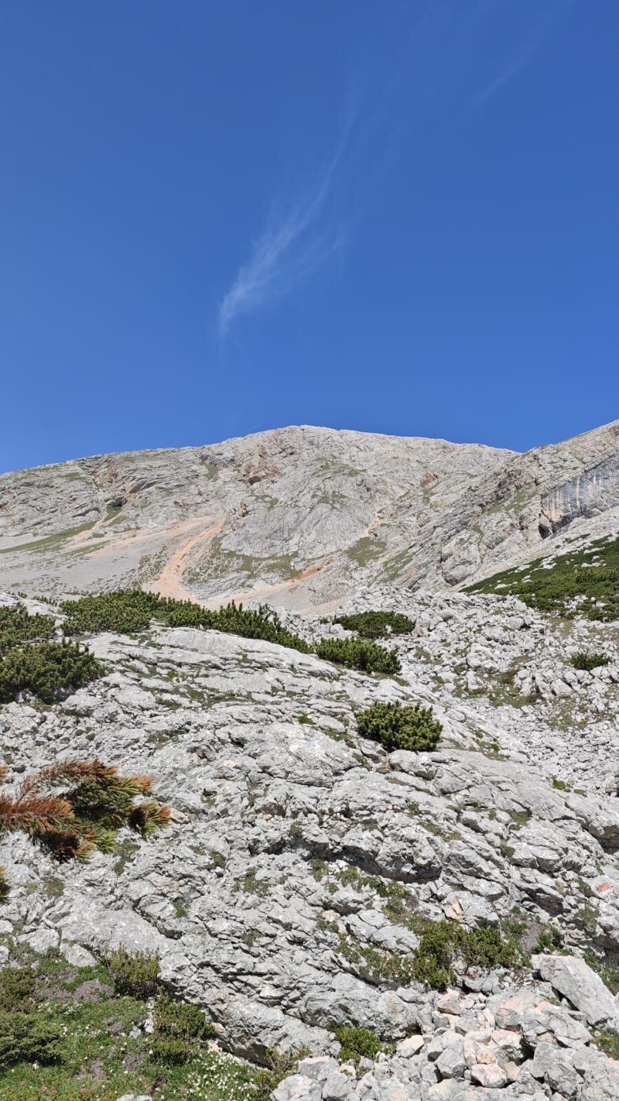 Photo 2025 07 02 17 38 30