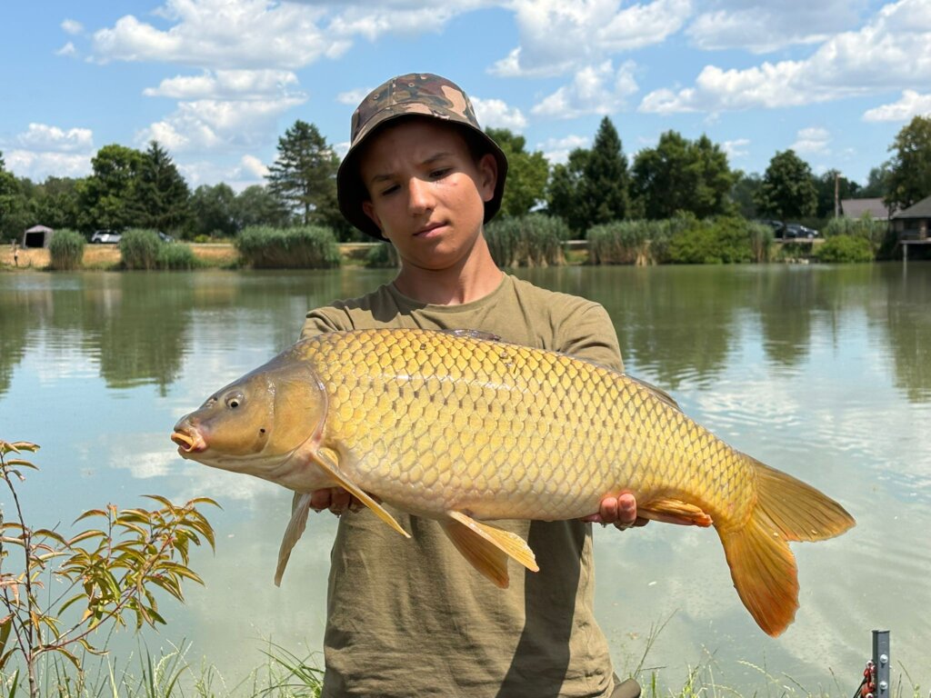 Whatsapp Slika 2025 07 03 U 10.05.29 C1b630bf