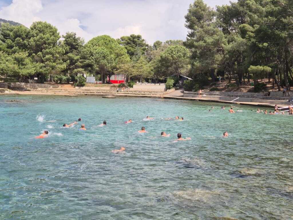 D5f30036 A7cb 4aa4 827d D22766f635db