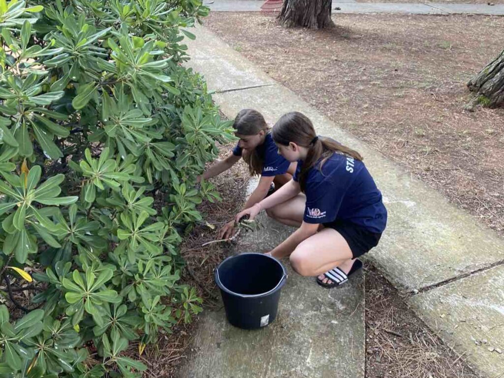 Dvd Starigrad Kamp Fažana (21)