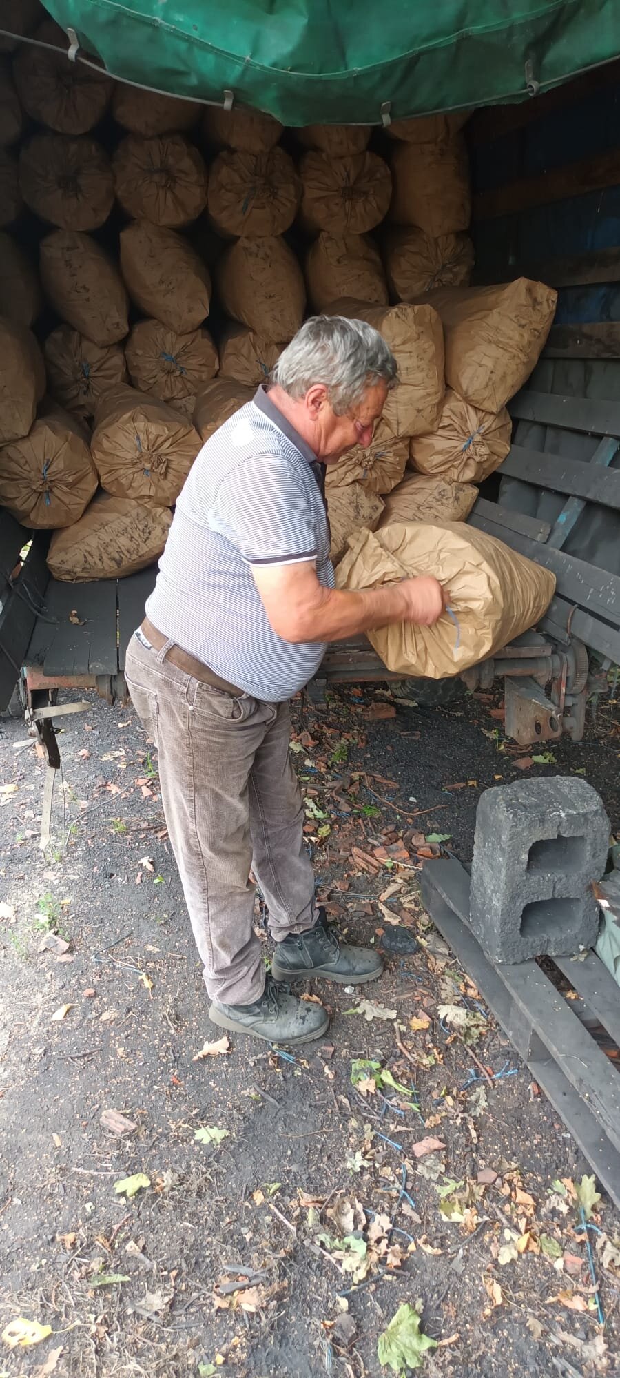 Fa8160dc 0d5c 4cc1 891f D6908b978155