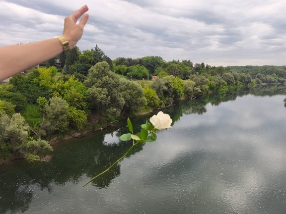 Img 20250716 Wa0016.jpg 648x432 Q85 Subsampling 2