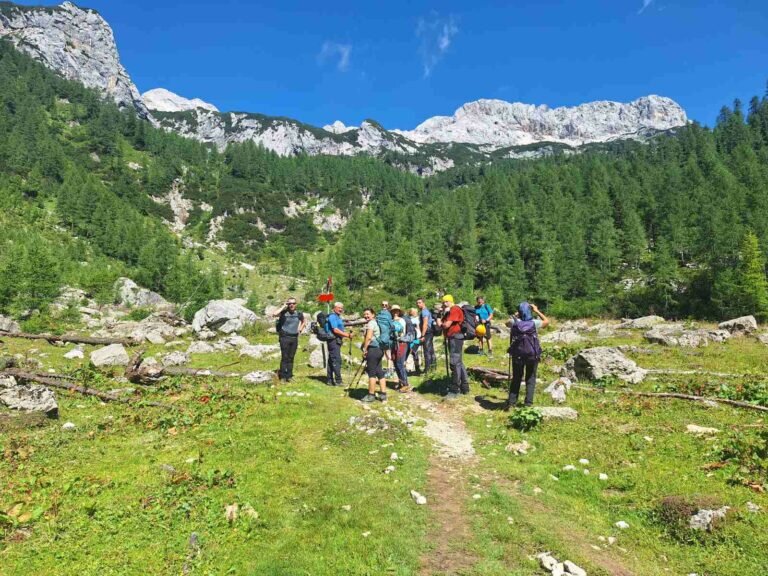 Viber Slika 2025 07 20 15 28 07 511 1 768x576