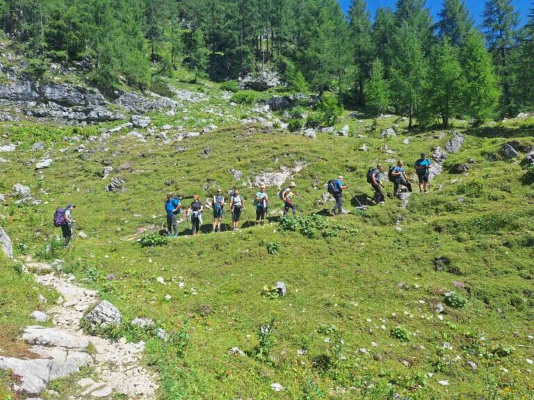 Viber Slika 2025 07 20 15 28 07 800 1 768x576