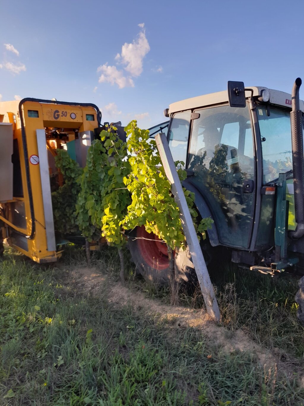 1650144d 5888 471a 9942 9f9c7eb8f788