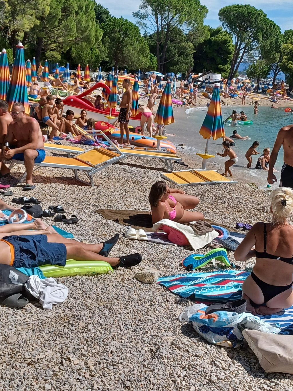 2611b294 3d4b 4fa7 Bfa9 Ec43ea423200