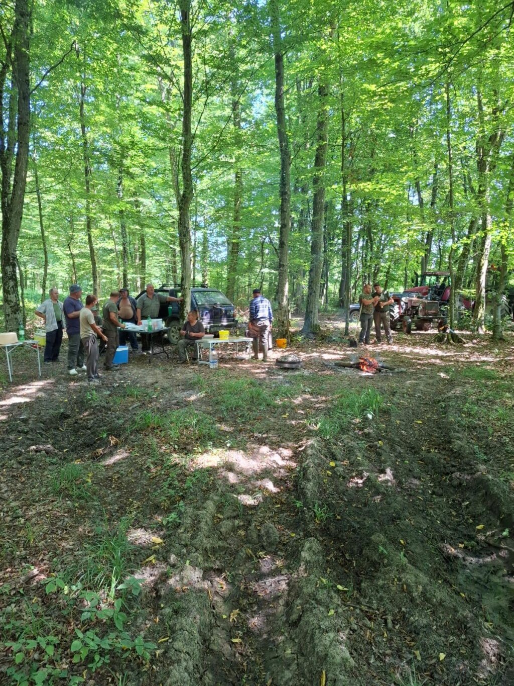 2d327213 E4a9 462e B87e B259ffc0f798