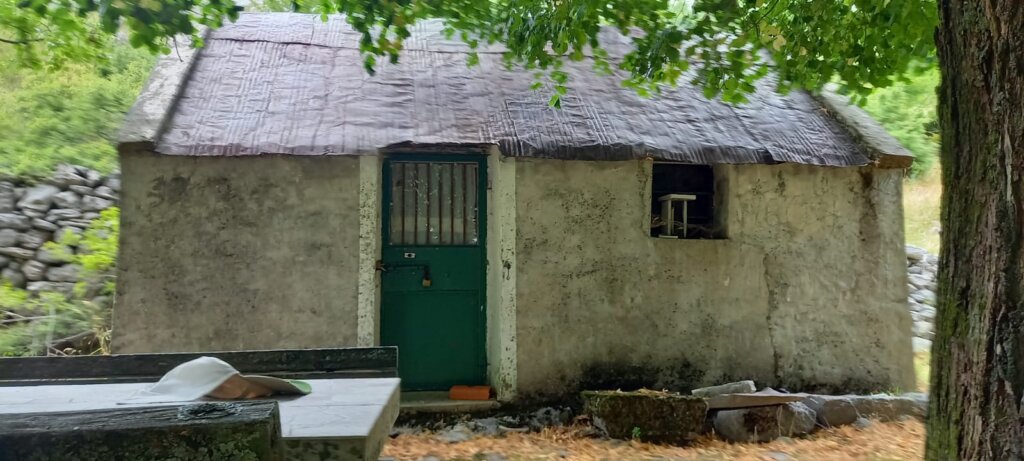 3196de0e 8caf 4024 Ab32 F70d35882627