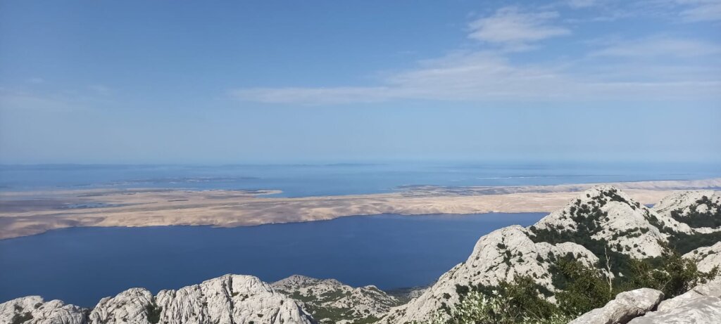 42958337 96ce 4571 83f7 Adfdf9e632cd