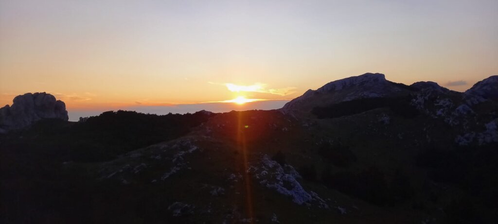 45bb1da5 E20a 4e9d A731 53ecea7177ee