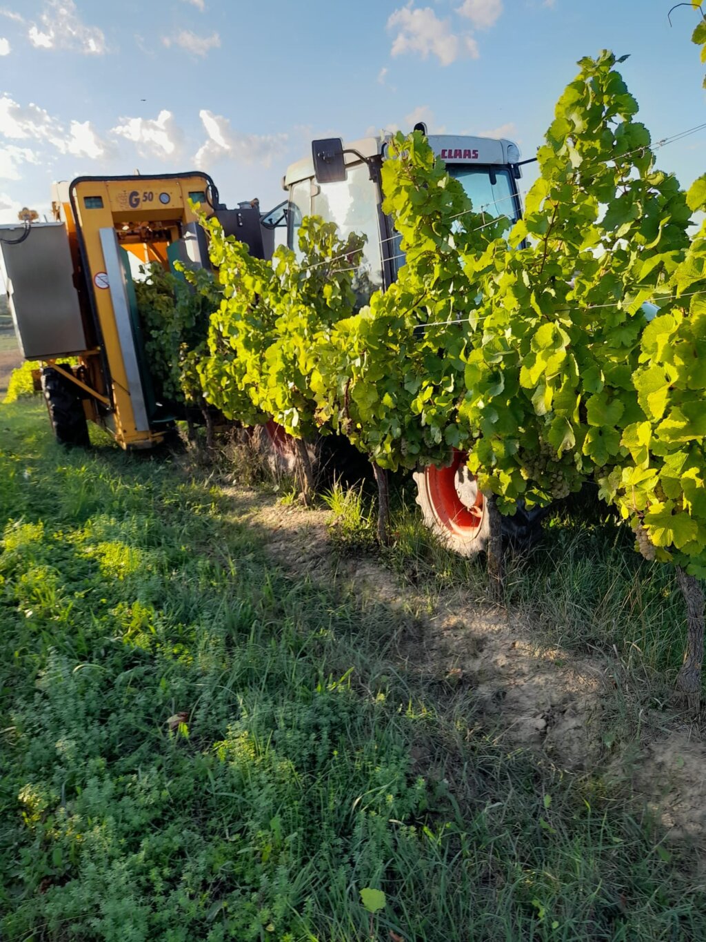 5728a73d Acb7 4601 Aa98 52b891362dbe