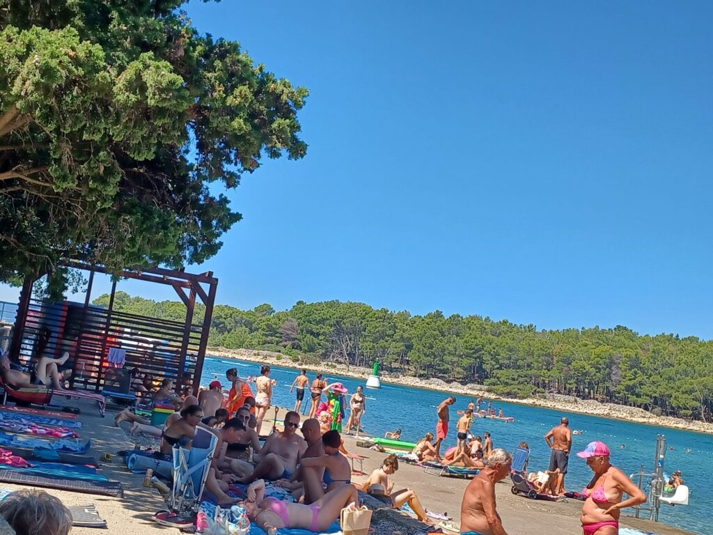 644905c1 4d3e 4e8c B544 66910ff54796