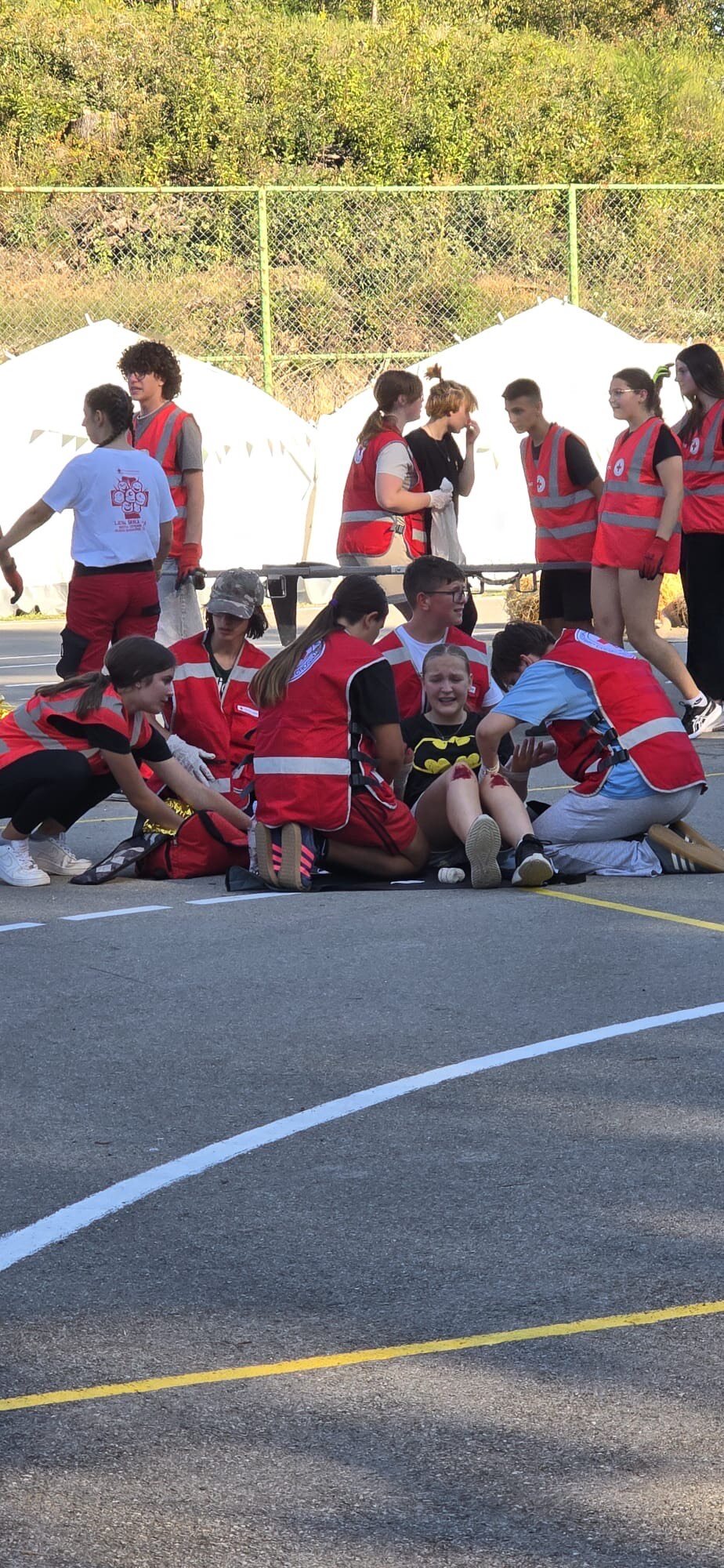 7911fe12 470a 472e 8555 9972af4879c3