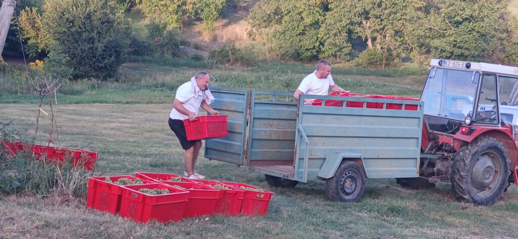 Photo 2025 08 25 19 42 33 1