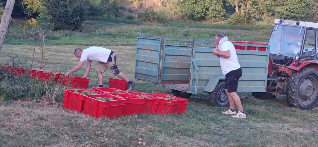 Photo 2025 08 25 19 42 34