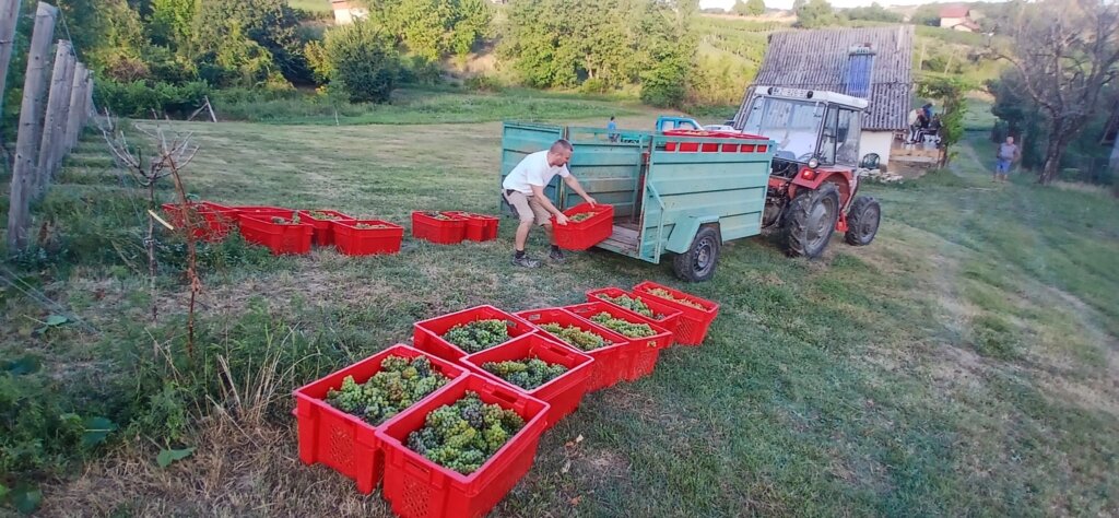 Photo 2025 08 25 19 43 11 1