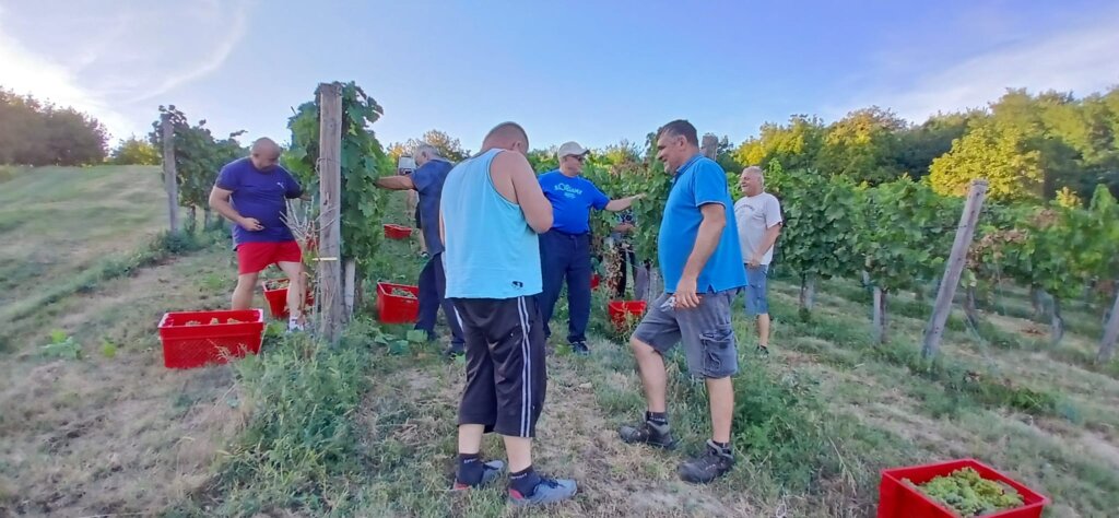 Photo 2025 08 25 19 43 12 3