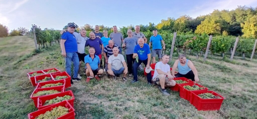 Photo 2025 08 25 19 43 12 4