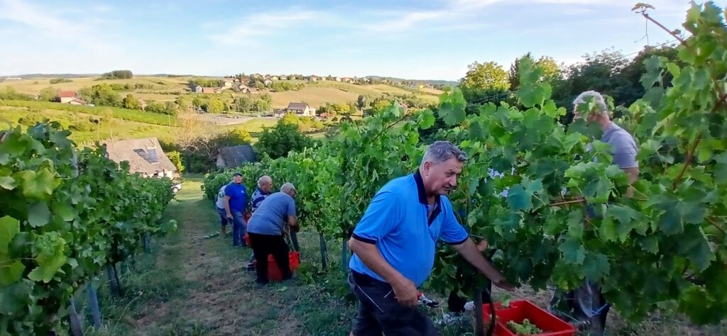 Photo 2025 08 25 19 43 13