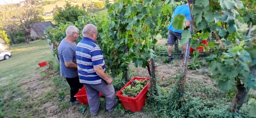 Photo 2025 08 25 19 43 13 1