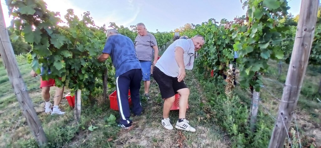 Photo 2025 08 25 19 43 13 2