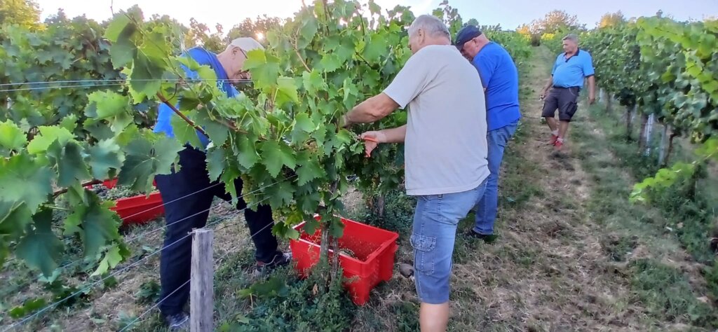 Photo 2025 08 25 19 43 13 3