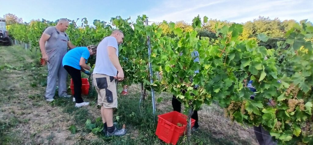 Photo 2025 08 25 19 43 14